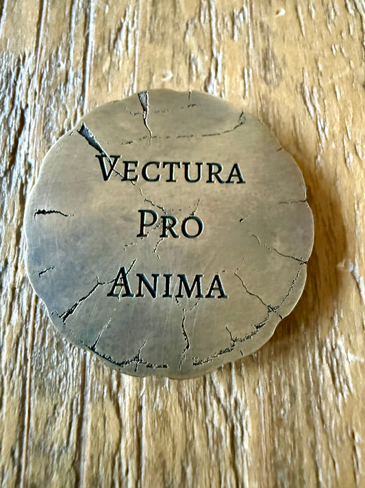 Ferryman Coin